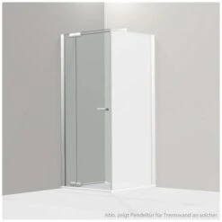 Koralle S800 Pendeltür Für Trennwand 140 Cm Anschlag Links