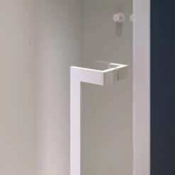 Riho Lucid Pendeltür Für Nische GD101 80 Cm